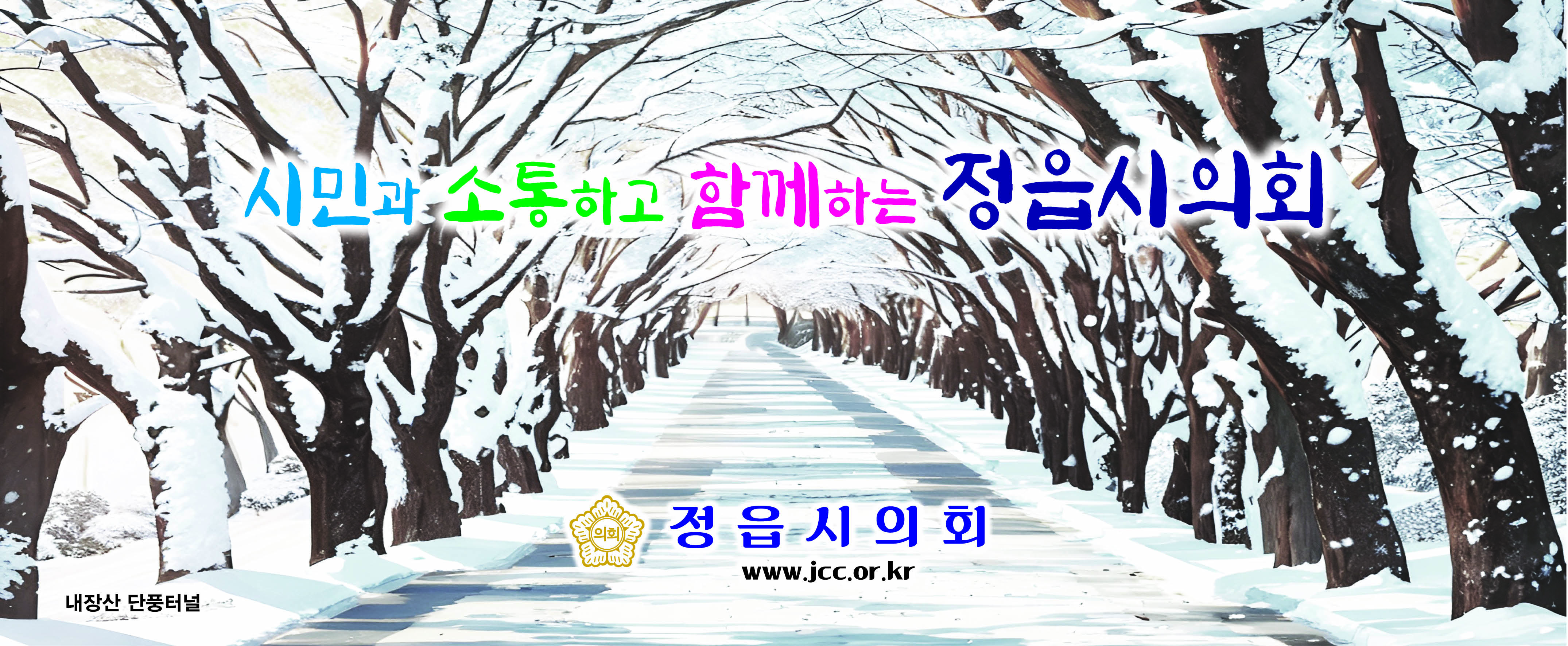 내장산 단풍터널 겨울풍경